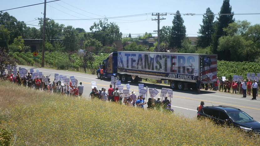 Sonoma County vineyard workers want to unionize – it would be the first time locally in over 40 years