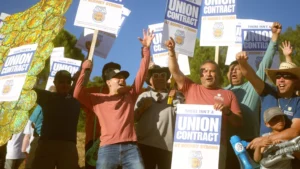 Rodney Strong Vineyard workers cheer and rally at the Disco Picket.